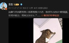  董路：韓少若止步不前，韓足已達(dá)頂峰。