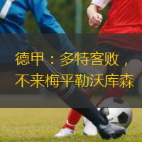  德甲：多特客敗，不來梅平勒沃庫森