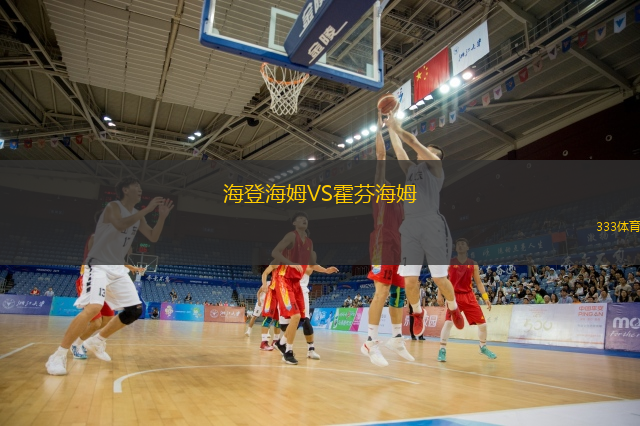  海登海姆VS霍芬海姆