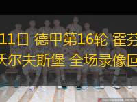 01月11日 德甲第16輪 霍芬海姆vs沃爾夫斯堡 全場(chǎng)錄像回放