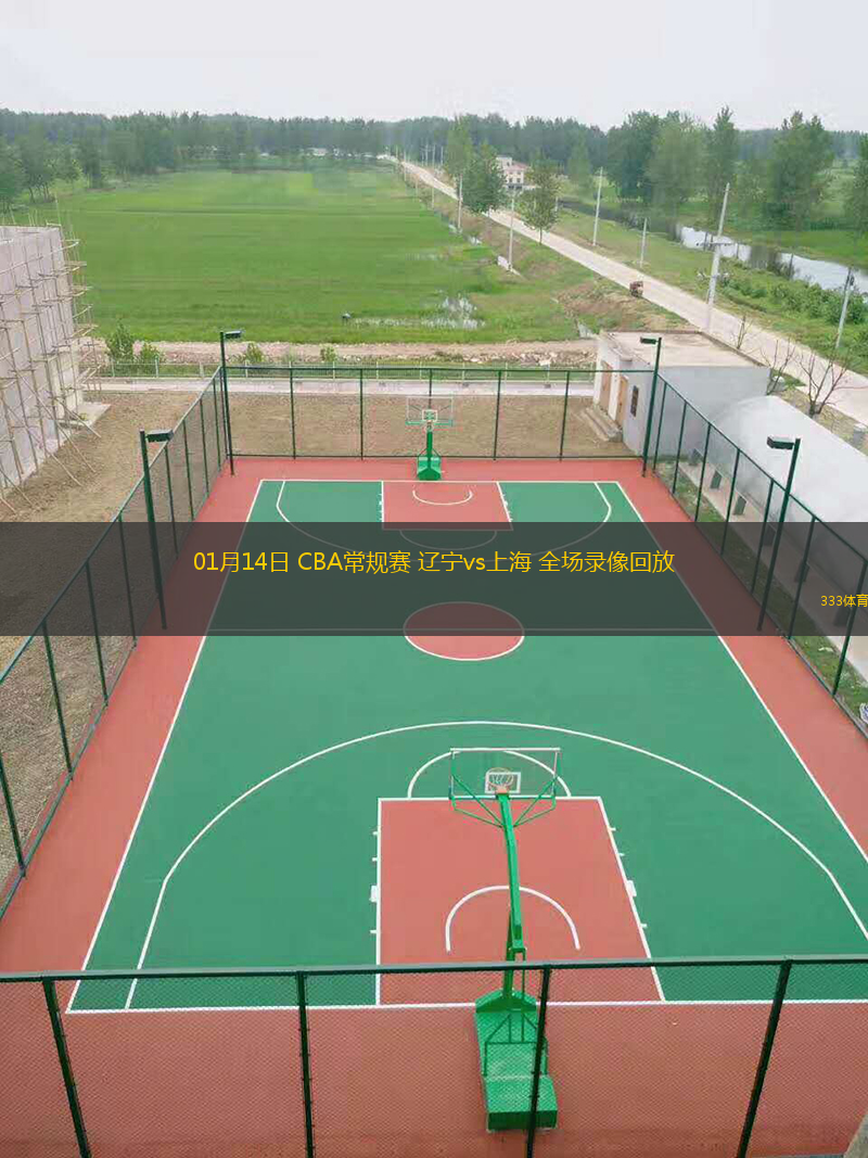 01月14日 CBA常規(guī)賽 遼寧vs上海 全場錄像回放
