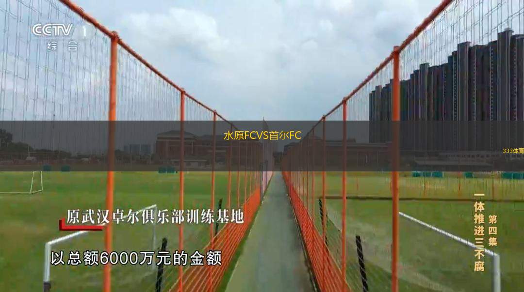  水原FCVS首爾FC