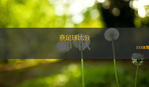 查足球比分(足球賽果實(shí)時(shí)查詢與分析)