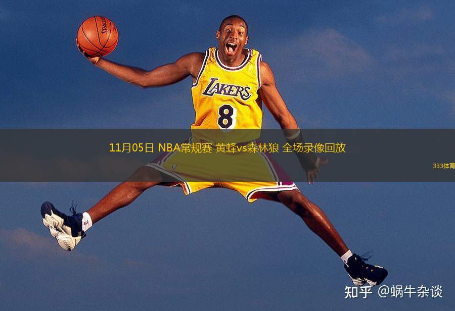  11月05日 NBA常規(guī)賽 黃蜂vs森林狼 全場錄像回放