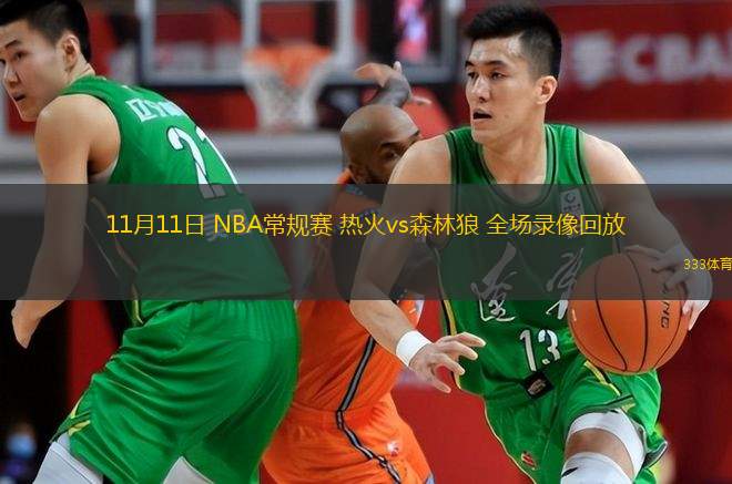  11月11日 NBA常規(guī)賽 熱火vs森林狼 全場錄像回放