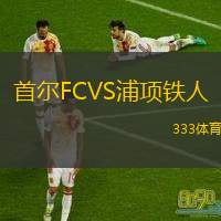  首爾FCVS浦項鐵人