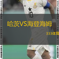  哈茨VS海登海姆