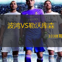  波鴻VS勒沃庫(kù)森