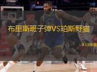  布里斯班子彈VS珀斯野貓