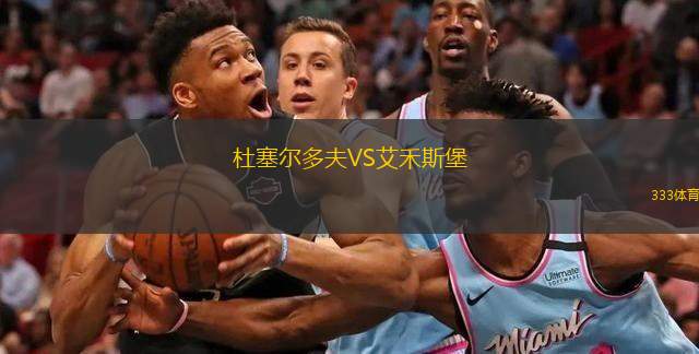 杜塞爾多夫VS艾禾斯堡 杜塞爾多夫VS艾禾斯堡