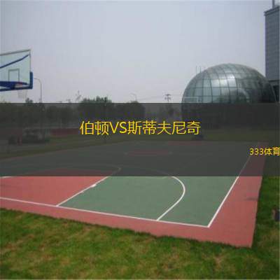  伯頓VS斯蒂夫尼奇