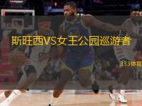  斯旺西VS女王公園巡游者